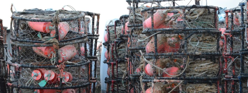garibladi crabbing