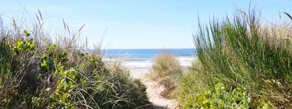Manhattan Beach State Park